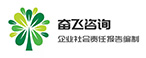 奋飞咨询